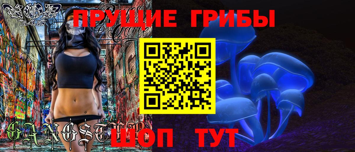 Тайшет  Псилоцибиновые грибы MAGIC MUSHROOMS  Вход с VPN 